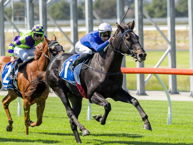 A Samurai Mind scores a win at Morphettville Parks. Picture: Makoto Kaneko