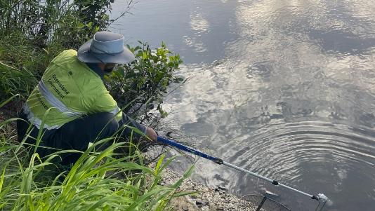 State Environment Department officer undertaking investigation on the Albert River sewer leak.