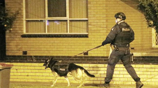 Police search streets of St Albans Park after the shooting. Picture: Alan Barber