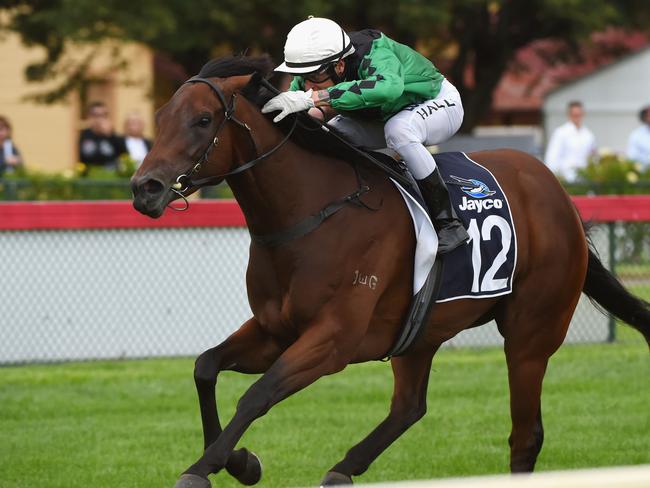 Nick Hall pilots Silent Sedition to victory in the Bendigo Guineas. Picture: Getty Images