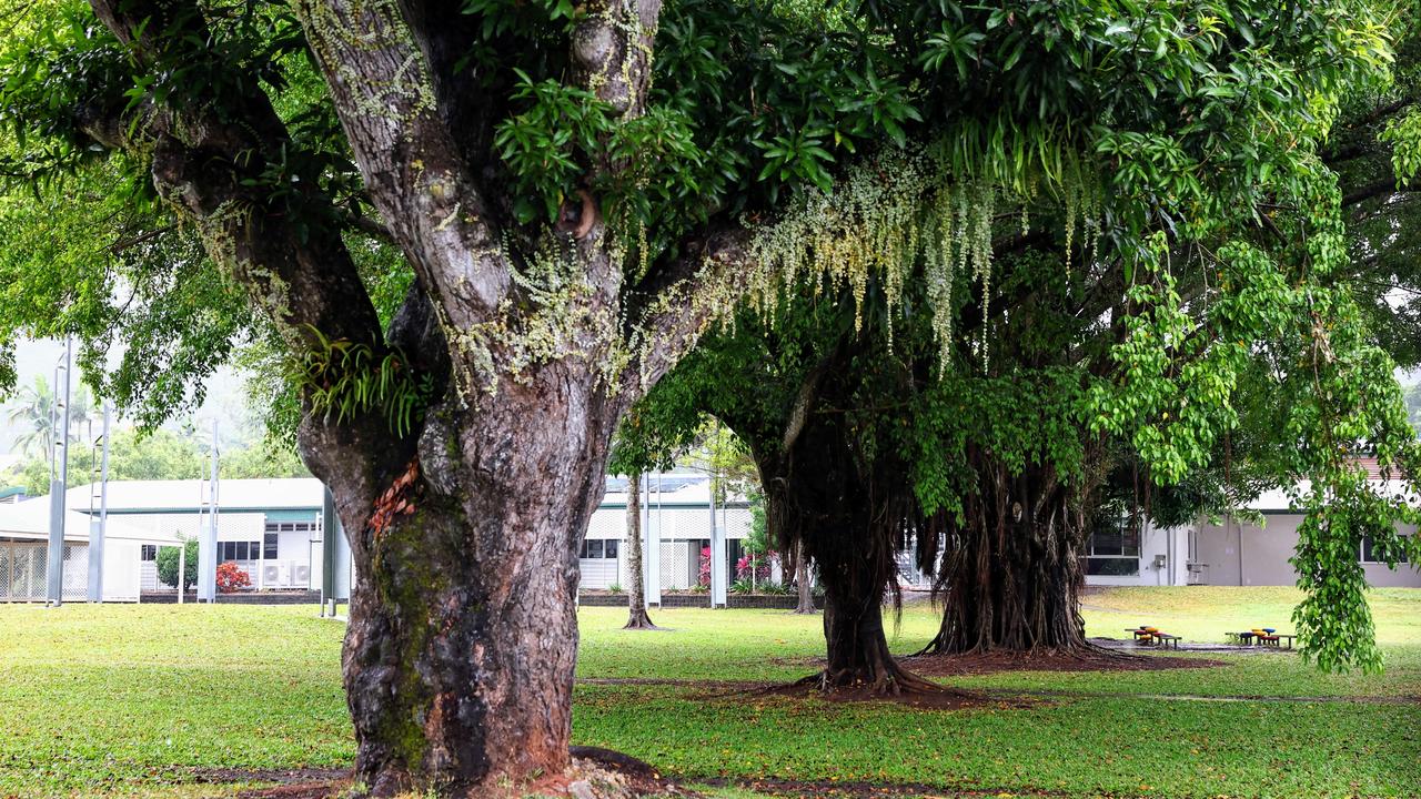 Freshwater State School parents and staff are angry that a large number of mature, established trees will be cut down and removed to allow the construction a new multi purpose hall. Picture: Brendan Radke