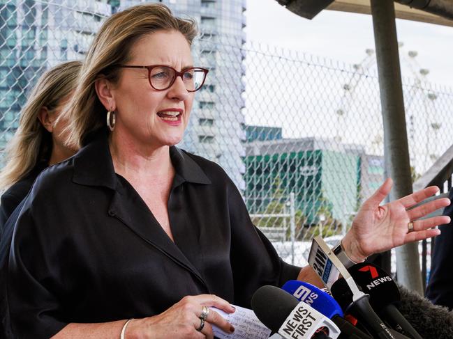 MELBOURNE, AUSTRALIA - Newswire Photos November 6, 2024: Premier Jacinta Allan during a press conference at the site of the Gurner Group new development in Docklands called Elysium Fields. Picture: NewsWire / Aaron Francis