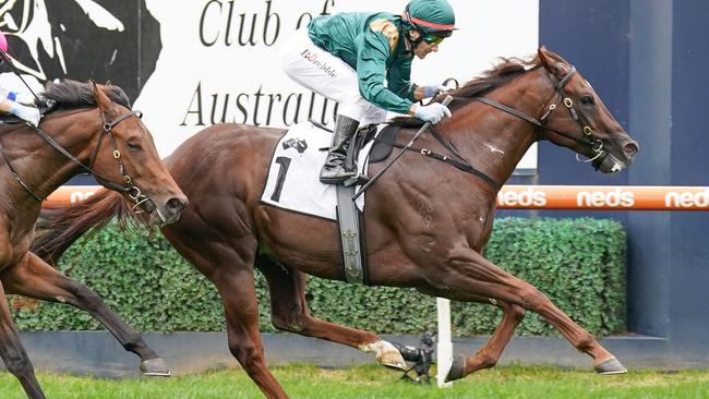 Cannonball enjoyed a promising start to his career. Picture: Scott Barbour — Racing Photos via Getty Images.