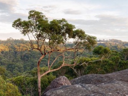 A view over the Lizard Rock land holding. Picture: Metropolitan Local Aboriginal Land Council