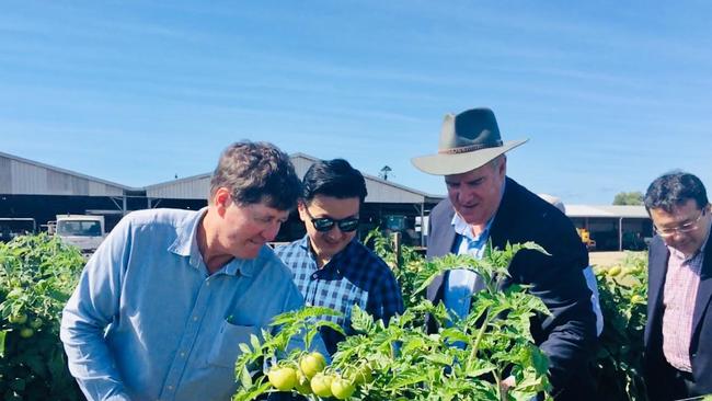 President of the Bowen Gumlu Growers Association Carl Walker with Queensland Minister for Agricultural Industry Development and Fisheries Mark Furner with Parliamentary Vice-Minister for Agriculture, Forestry and Fisheries in Japan, Mr Susumu Hamamura, and Consul-General Mr Kazunari Tanaka.