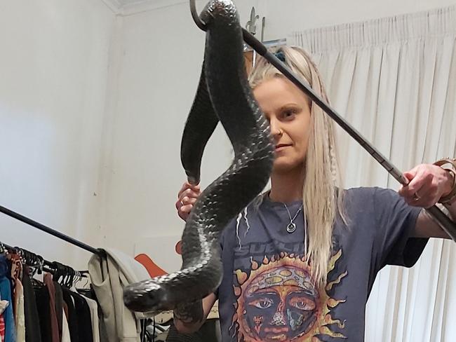 Kate Downing from North West Snake Catchers capturing a five foot long tiger snake from a rural Elliott home.