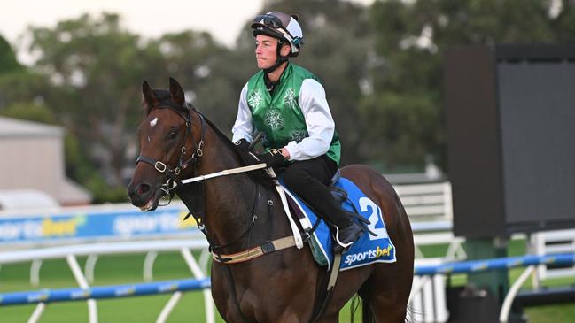 Autumn Mystery will be the cheapest-priced yearling in the Blue Diamond field on Saturday. Picture: Vince Caligiuri/Getty Images