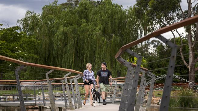Tim Neville Arboretum in Ferntree Gully is a great place for a family stroll. Photo: Daniel Pockett