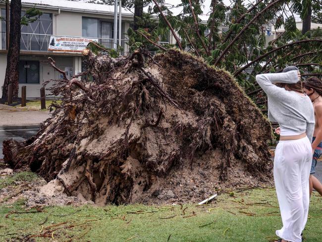 A young boy and girl look at an uprooted tree in front of the Miami Beach Surf Lifesaving Club on the Gold Coast. Picture: David Gray/ AFP