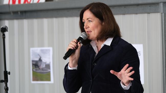 Senator Sarah Henderson spoke at an April 2024 rally opposing the Tall Tree wind near Lethbridge. Picture: Mark Wilson.