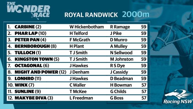 Field for The Wonder Race. Who would you back in the big race?