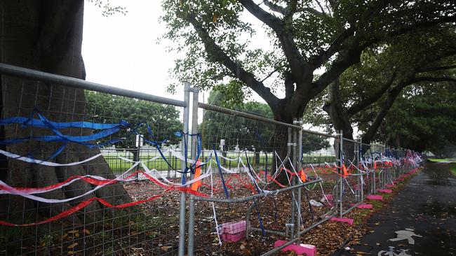 Activists used Australia Day to make a point about the history behind the trees. 