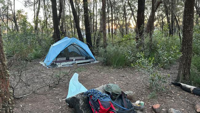 I've hiked all over Australia, but this humble Blue Mountains hike, just an hour and a half from Sydney, remains my favourite