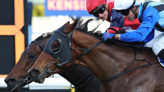 Arctic Glamour (blue) hit the line alongside Schwarz in the Missile Stakes. Picture: Jeremy Ng/Getty Images