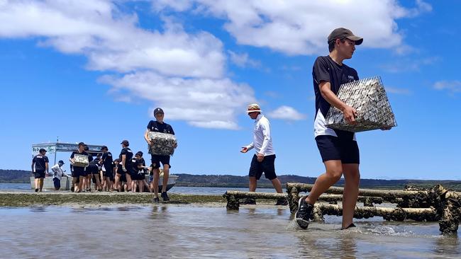 Volunteers for recreational fishers’ group OzFish with old oyster shells to be used for re-establishing shellfish reefs at a 19ha site provided by the Port of Brisbane in Moreton Bay.