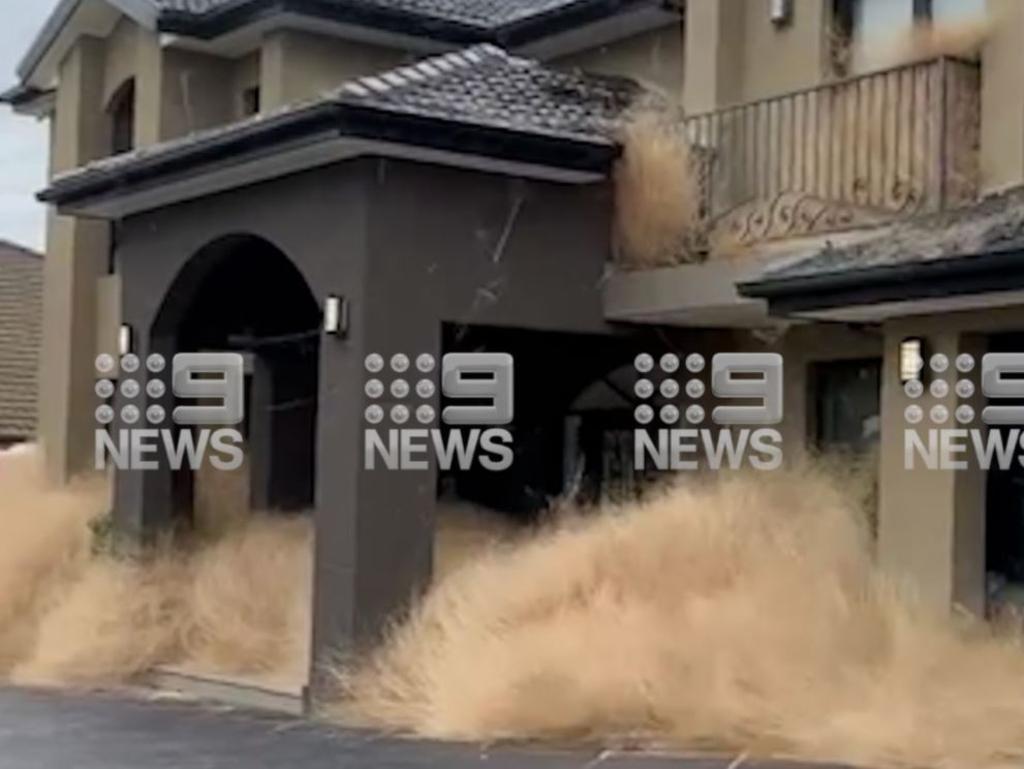 Piles of the grass outside a home. Picture: Nine News.