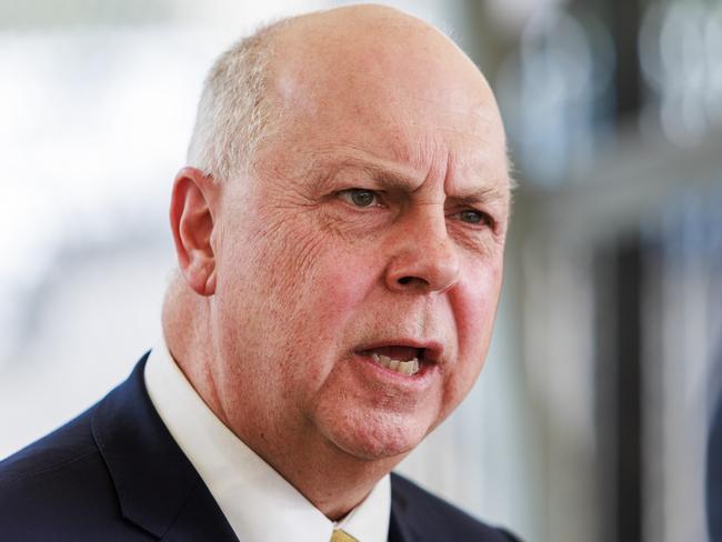 MELBOURNE, AUSTRALIA - Newswire Photos November 6, 2024: Treasurer Tim Pallas during a press conference at the site of the Gurner Group new development in Docklands called Elysium Fields. Picture: NewsWire / Aaron Francis