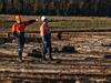 KI timber export bid sparks fears