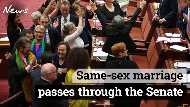 Same Sex Marriage Bill Passes Senate How Senators Voted The Australian 