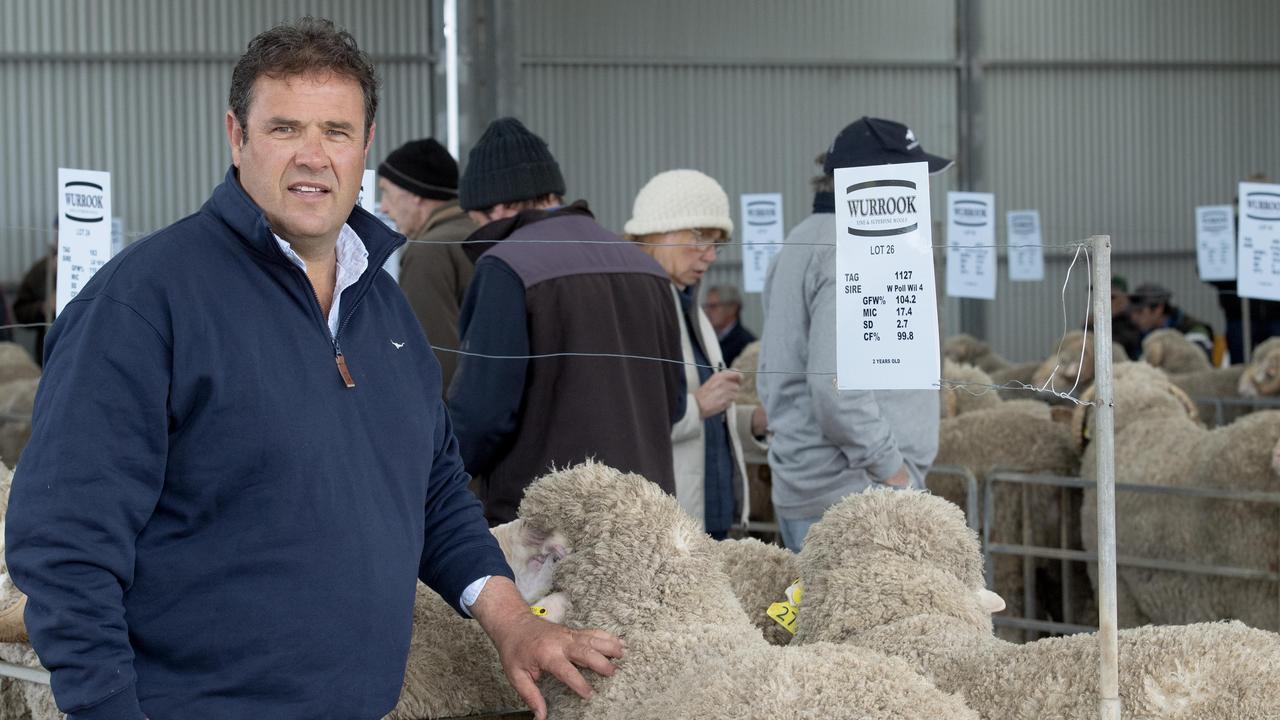 Wurrook Merino sale at Rokewood: Two buyers pay $8000 but average and ...