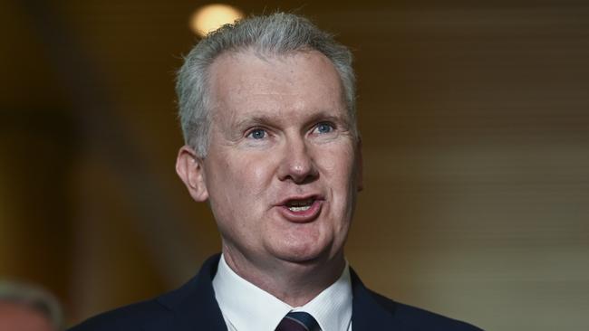 Workplace Relations Minister Tony Burke. Picture: NCA NewsWire / Martin Ollman