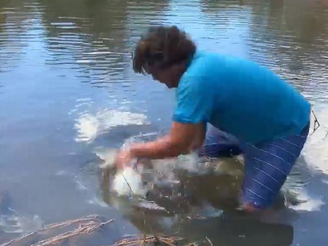 Here fishy, fishy fishy. Nicholas Milyari Fitzpatrick grabs the freshwater crocodile. Pictures: Nicholas Milyari Fitzpatrick