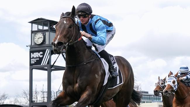 Asfoora is a hot favourite to resume with a win in Saturday’s Group 2 Rubiton Stakes at Caulfield. Picture: Racing Photos via Getty Images