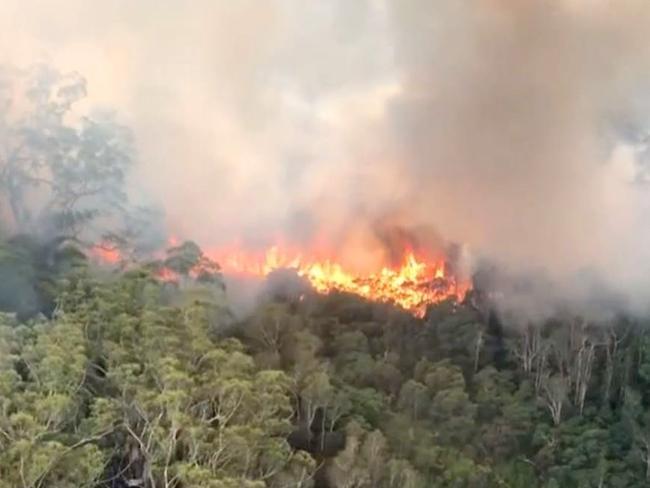 Aerial firefighting for a K’gari bushfire - Photo Supplied QFES