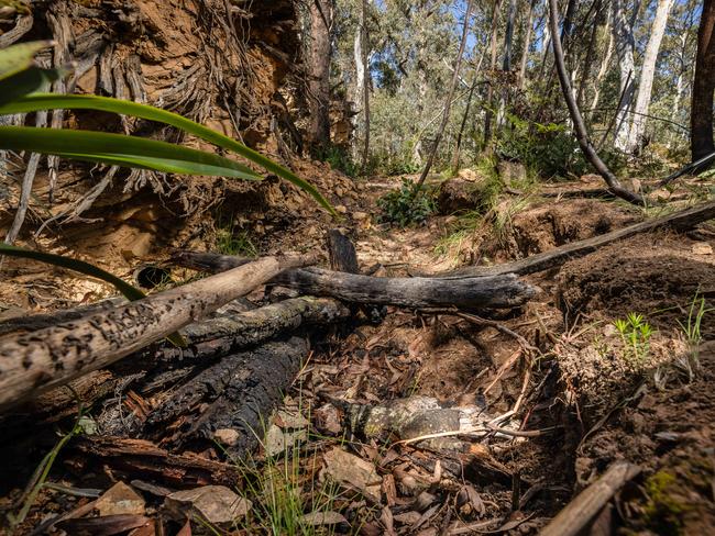 The exact location in the Grants Historical Area where police and forensics found human remains. Picture: Jason Edwards