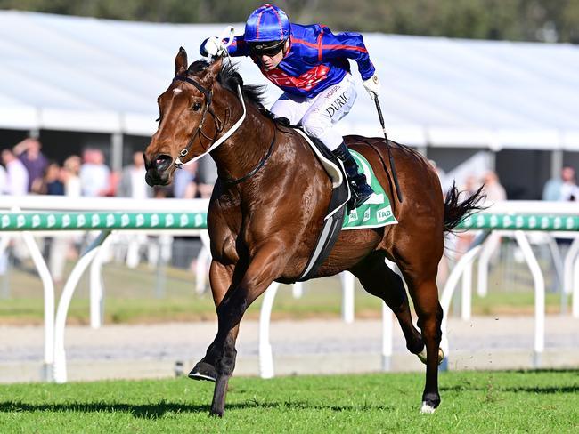 Hedged winning the TL Cooney at Ipswich Picture: Grant Peters