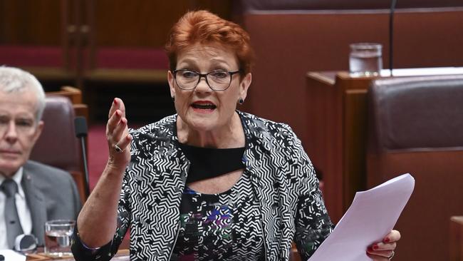 We should thank Pauline Hanson that these important legal questions about 18C are being raised at all. Picture: NCA NewsWire / Martin Ollman