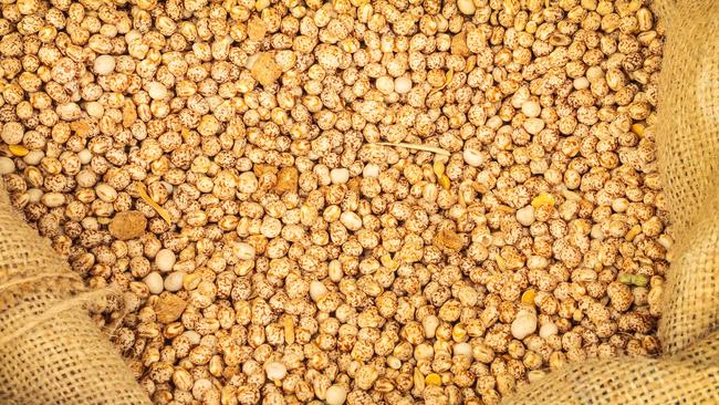 Breakfast served: Lupins are being converted into meat, eggs and gluten-free flour alternatives.