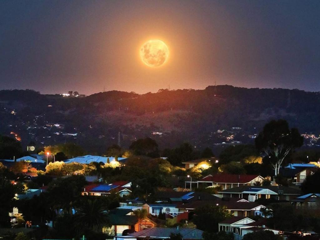 The supermoon will be at its best viewing point between 9pm and 9.30pm. Picture: Matthew Welsby