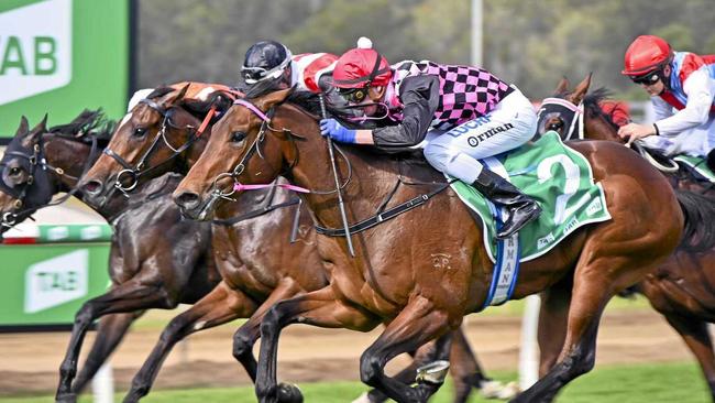 TIGHT LINE: Jockey James Orman managed to get Ziemba to the winning post at the right time. Picture: Cordell Richardson