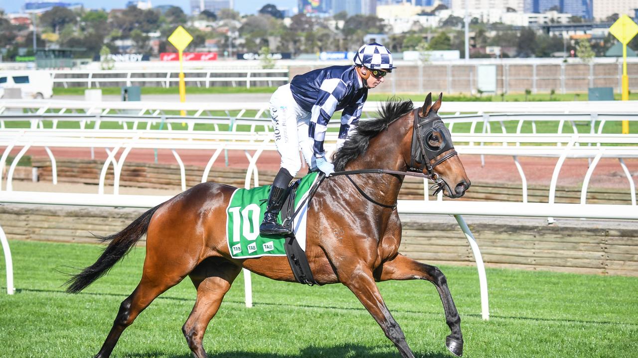 Young Werther is one of the favourites for the Caulfield Cup. (Pat Scala/Racing Photos via Getty Images)