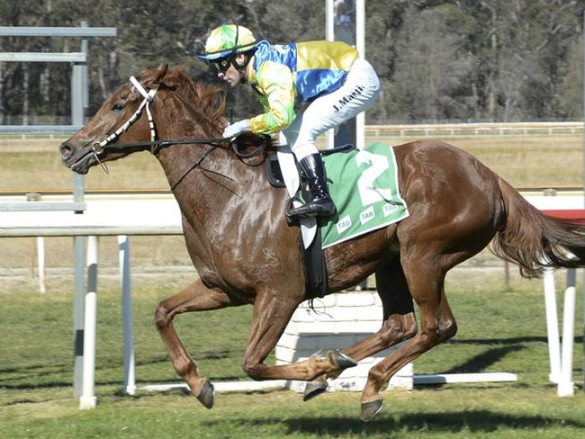 Race 1 - Moruya, 20/08/2023, Winner - Sunchyme, Jockey - Jack Martin. Picture: Bradley Photos