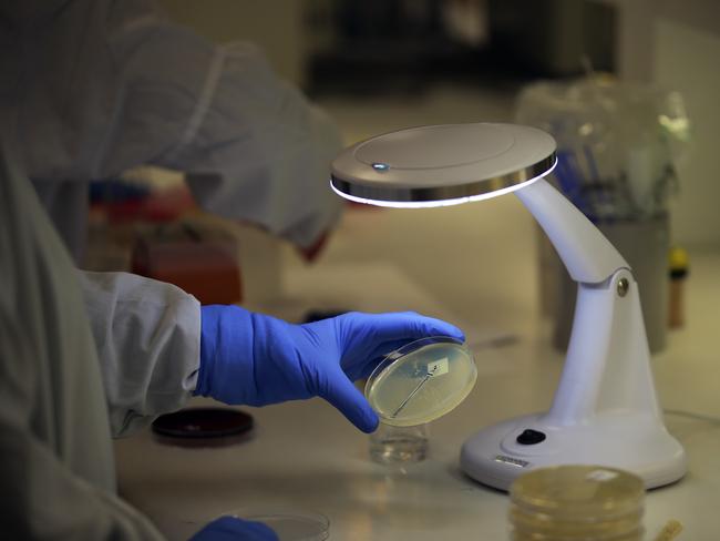 Researchers in the Doherty Centre for Infection and Immunity, Melbourne, examining superbugs and antibiotic resistant threats to save hospital and other patients. Picture: Alex Coppel