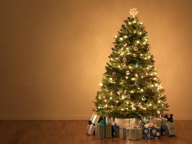 This is a photo of Christmas Presents under the tree. There is a lot of space for copy on the left.Click on the links below to view lightboxes.