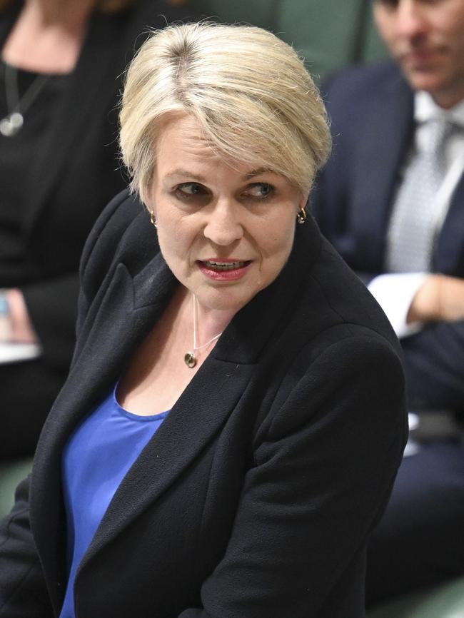 Environment Minister Tanya Plibersek. Picture: NewsWire / Martin Ollman