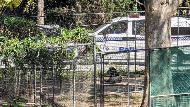 A police car outside the Elite K9 Resort in Nerang on Thursday.