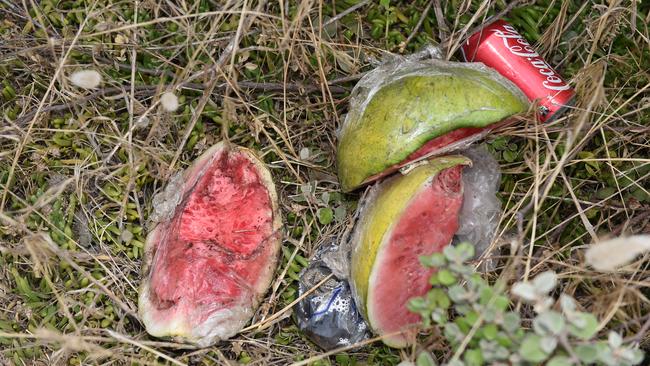 Discarded watermelon and a soft drink can on the track to The Pillars. Picture: Jason Sammon