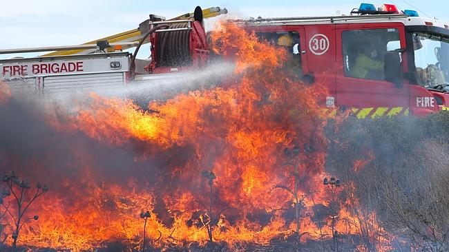 Massive heatwave takes toll