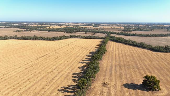 Family-owned farming company, Summit Farms Pty Ltd, are selling their 1950ha aggregation near Nathalia.