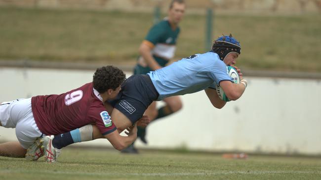 Players competing in the Waratahs v Reds grand final. Picture: Supplied/Rugby Australia