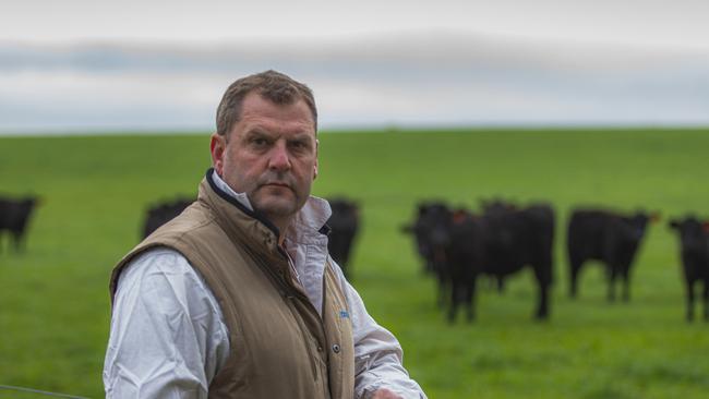 High steaks: Jim Gaylard of Rose Grange Pastoral Company at Little River, which took out the Meat Standards Australia Victorian beef producer award.