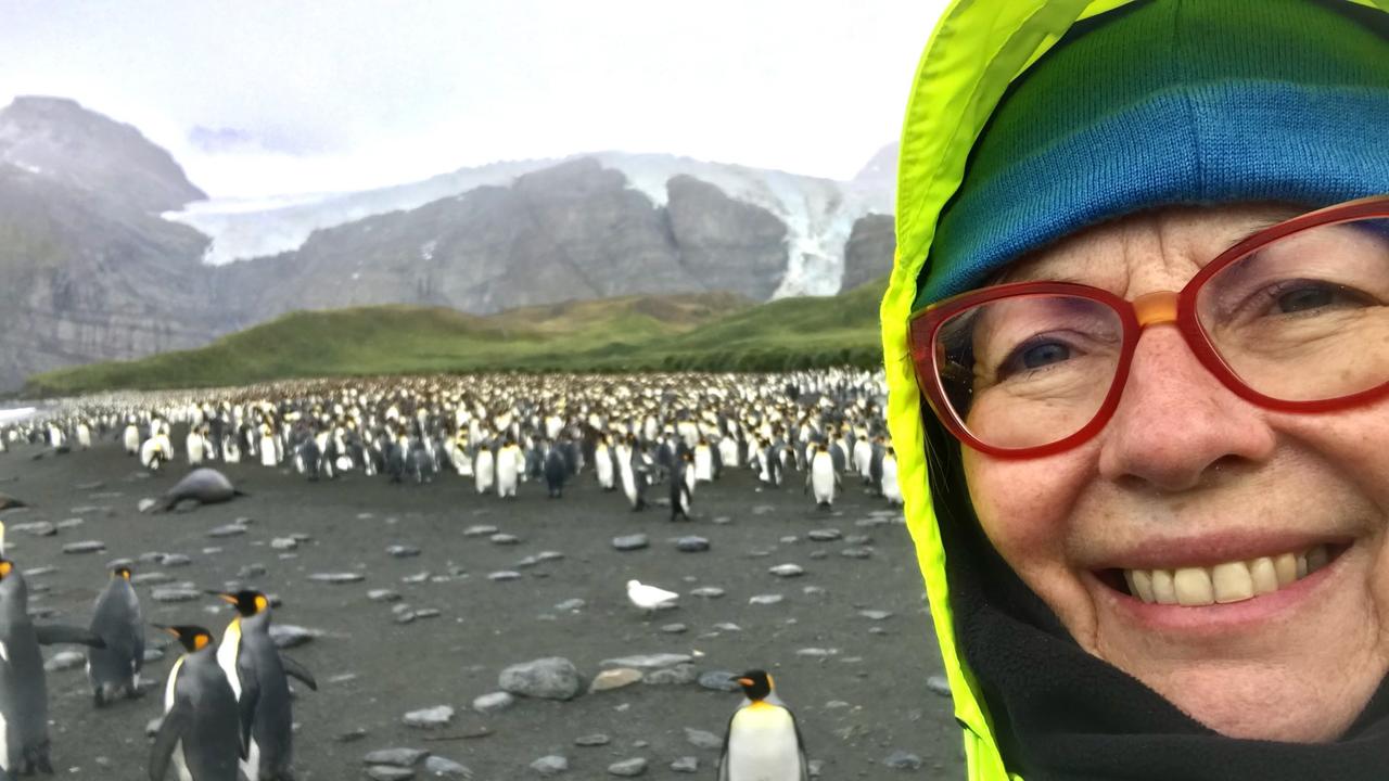 Retired Seven newsreader Jane Doyle's holiday snaps from the Arctic and the Antarctic. Pics: Supplied.