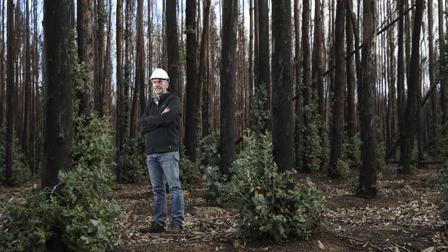 Kangaroo Island Plantation Timbers boss Keith Lamb. Picture Sarah Reed