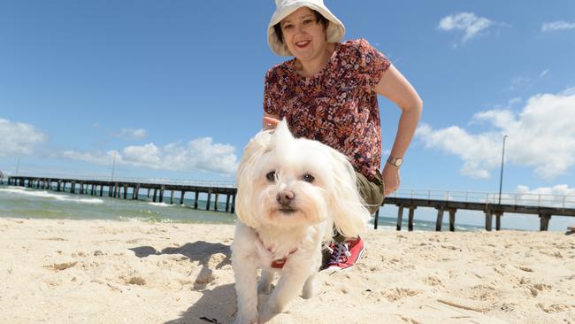 are dogs allowed at frankston beach