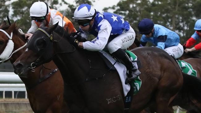 Just A Jedi looks well placed to win again at Randwick on Saturday. Picture: Grant Guy