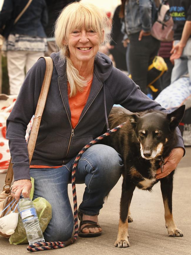 Lynn Buckley and her dog, Sweep, wait to board a boat bound for Hastings. Picture: David Caird